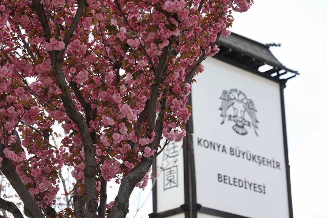 Japonya sanılan büyüleyici yer Konya çıktı 9